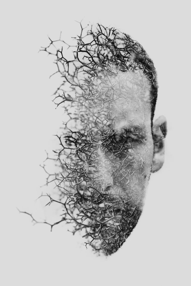 Leonardo Mazon